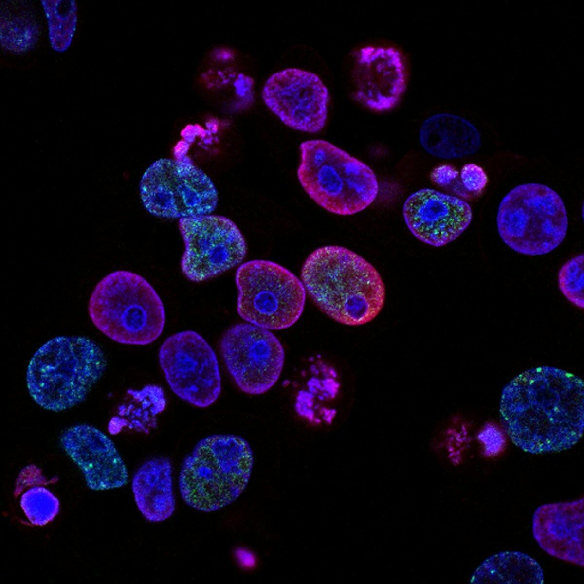 cell_research