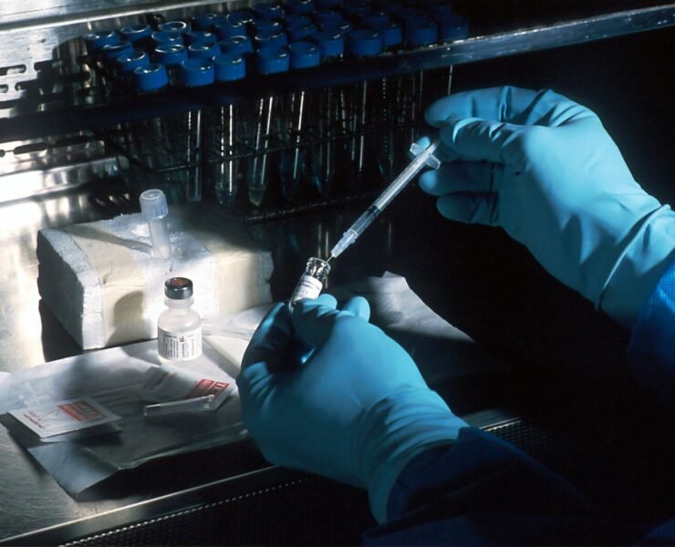 person holding silver and black hand tool